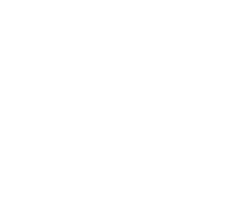 RL white no background